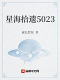 星海拾遗汉化版